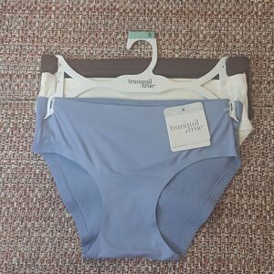 New T&T 3 Hipster Brushed Microfiber Ribbed Seamless Laser Bonded Panties Small‎